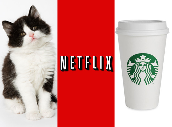 Kitten, Netflix, Starbucks Kitten, Netflix, Starbucks